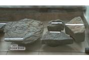 MUZEUM VIHORLATSKE PRIRODA (3)